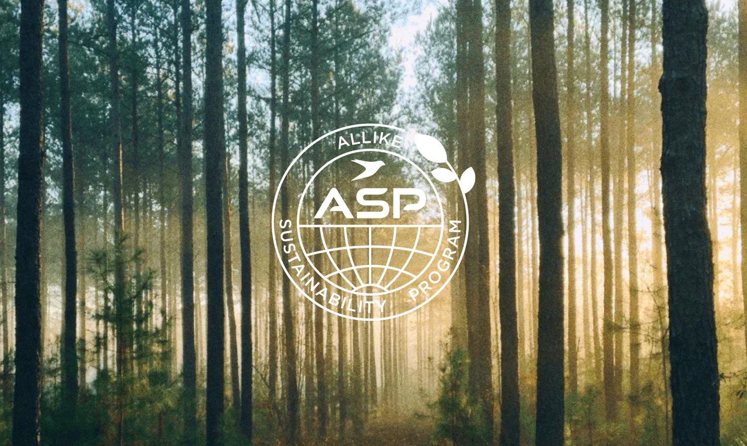 ASP_Forest_2_3_M